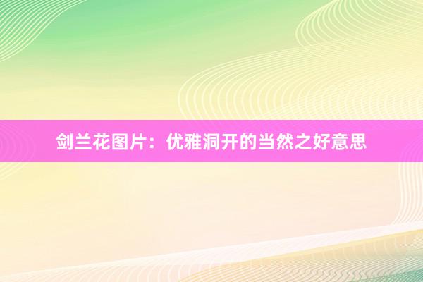 剑兰花图片:优雅洞开的当然之好意思