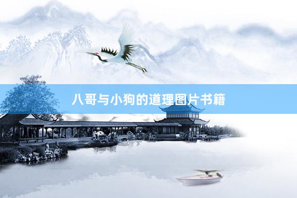 八哥与小狗的道理图片书籍