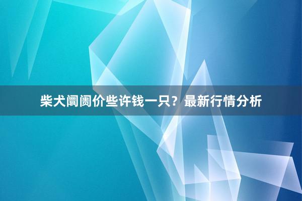 柴犬阛阓价些许钱一只?最新行情分析